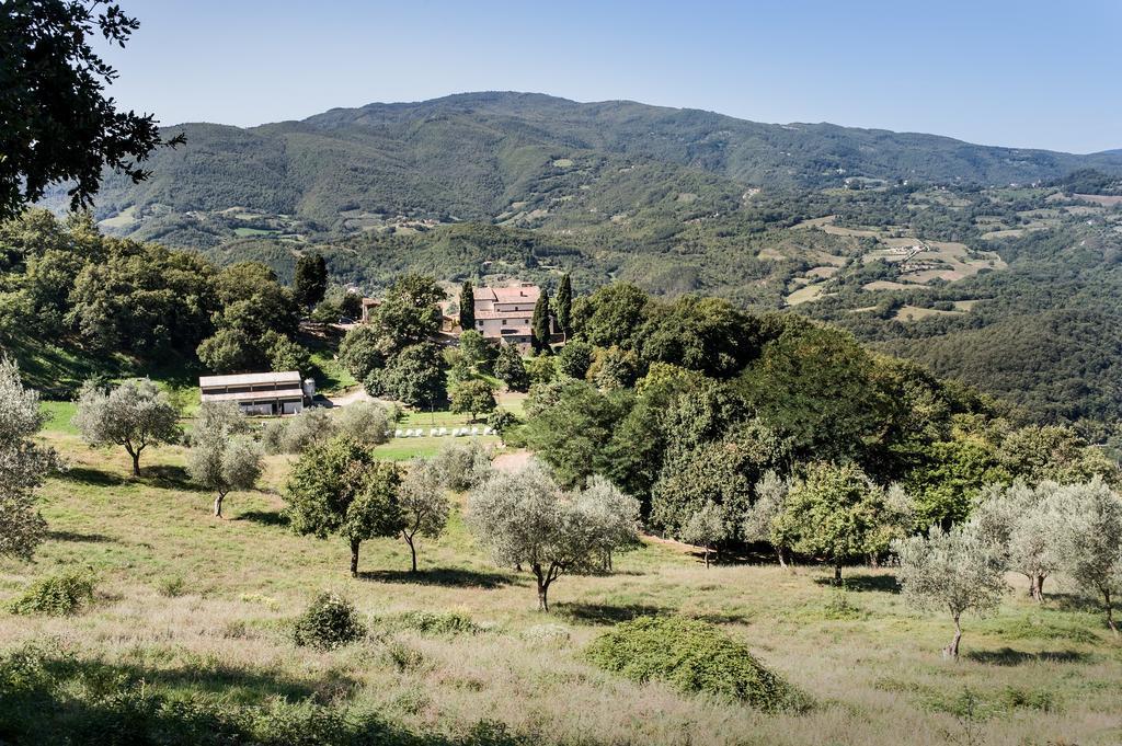 Agriturismo Di Baroni Enzo Dicomano 外观 照片