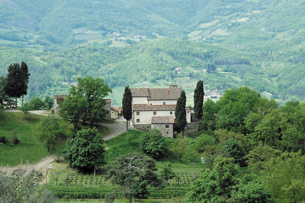 Agriturismo Di Baroni Enzo Dicomano 外观 照片